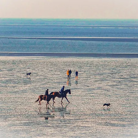 Haus Horizont I Hz21 Apartmán